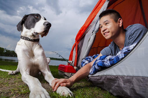 Young asian man camping with his Great Dane dog