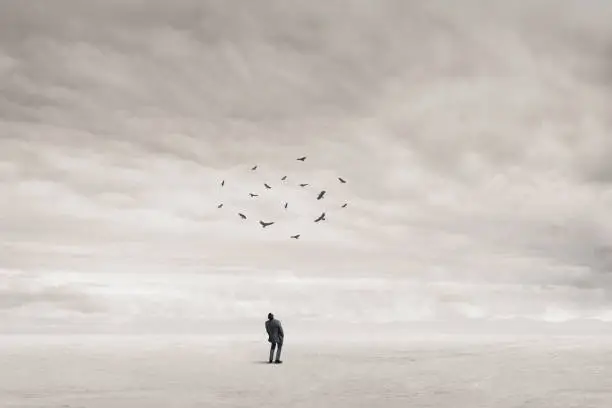 Photo of Man Looks Up And Watches Vultures Circling Overhead