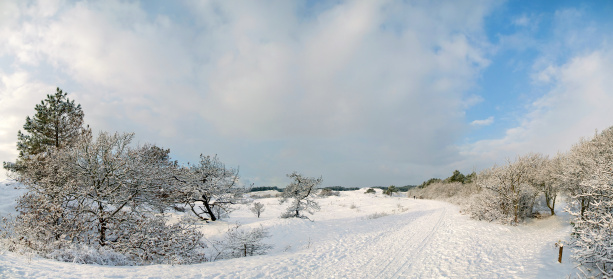 Footpath in winter, lots of snow on the path and on the trees. Near Schoorl (the Netherlands)