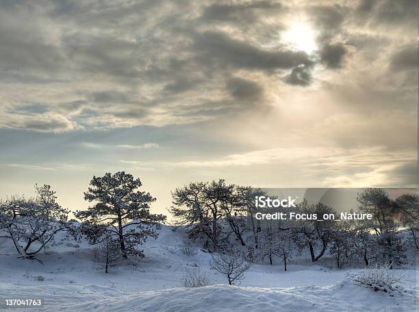 Foto de Floresta De Inverno Em Hdr e mais fotos de stock de Neve - Neve, Beleza, Beleza natural - Natureza