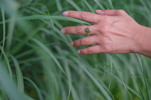 Close-up shot of an unrecognizable Asian female hand with a green stone ring, touching a green grass.