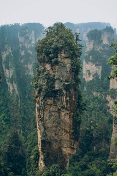 Zhangjiajie national park in China Zhangjiajie national park in Hunan Province in South China.  Avatar mountains or Grand Canyon of China. Avatar natural park. zhangjiajie stock pictures, royalty-free photos & images