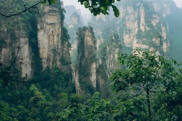 Zhangjiajie national park in Hunan Province in South China.  Avatar mountains or Grand Canyon of China. Avatar natural park.