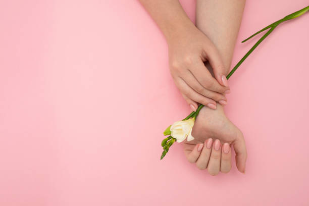 istock female hands holding white exotic flower 1370419961