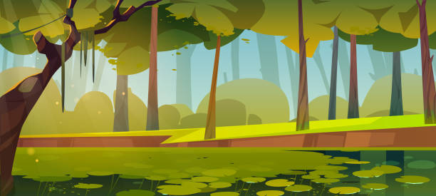 ilustrações, clipart, desenhos animados e ícones de paisagem da floresta de verão com pântano - spring forest scenics wetland