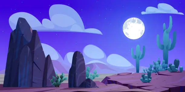 Vector illustration of Night desert landscape, Mexican natural background