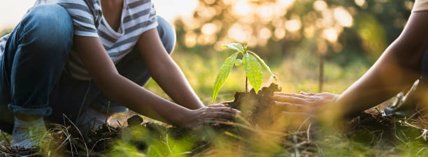 mère avec des enfants aidant à planter un arbre dans la nature pour sauver la terre. environnement eco concept - plante photos et images de collection