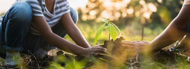 mother with children helping planting tree in nature for save earth. environment eco concept mother with children helping planting tree in nature for save earth. environment eco concept planting stock pictures, royalty-free photos & images