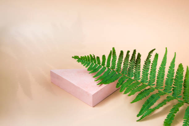 istock Triangular podium for displaying cosmetics and various products on a beige background with a fern, with a closeup 1370424442