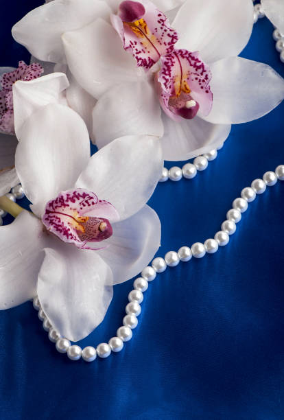 istock branch beautiful orchids. White orchid branch on a blue background 1370426702