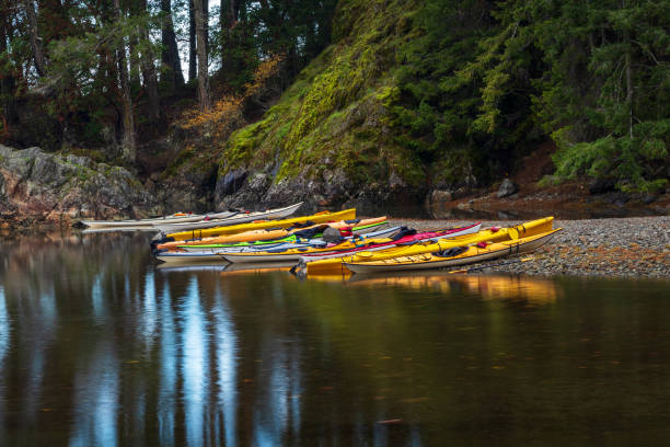 istock Kayaks Along The Shoreline 1370427887