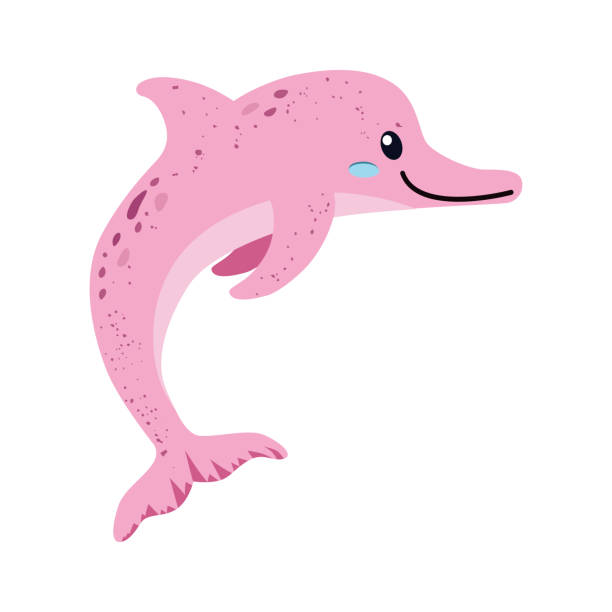 ilustrações de stock, clip art, desenhos animados e ícones de pink dolphin. amazon river freshwater dolphin. a species of aquatic mammals from the suborder of toothed whales. vector illustration isolated on a white background for design and web. - beautiful friendship wildlife nature
