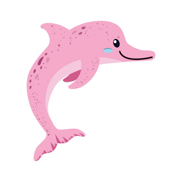 Pink Dolphin Amazon River Freshwater Dolphin A Species Of Aquatic