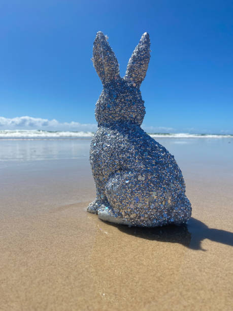 srebrny błyszczący brokat easter bunny na plaży z widokiem na wodę.  siedząc na piasku na brzegu wody. błękitny ocean i niebo w tle. gold coast queensland australia - waters edge nature water wave zdjęcia i obrazy z banku zdjęć