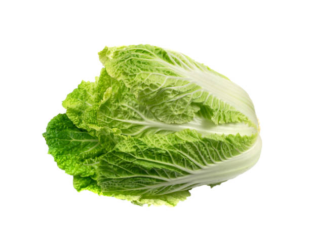 istock Whole Chinese Cabbage, Napa Cabbage or Wombok 1370441423