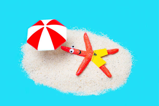 istock Starfish character relaxing on the beach 1370441561