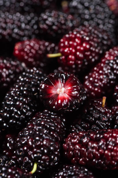 istock close up of ripe mulberries fruit texture background 1370441661