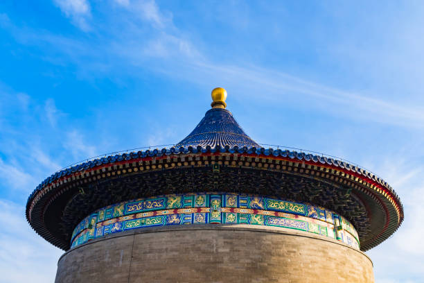 160개 이상의 타일피쉬 이미지 스톡 사진, 그림 및 Royalty-Free 이미지 - iStock 160개 이상의 타일피쉬 이미지 스톡 사진, 그림 및 Royalty-Free 이미지 - Istock