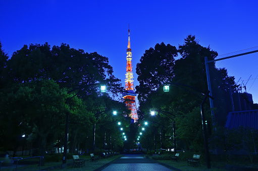 It is a comprehensive radio tower located in Shibakoen, Minato-ku, Tokyo, Japan.It is a symbol of Tokyo and a tourist attraction.Shiba Park, which is adjacent to Tokyo Tower, is a fashionable park in the office district.