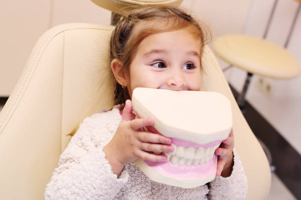 babymädchen sitzt im zahnarztstuhl mit kunstkiefer in den händen - dentists chair fotos stock-fotos und bilder