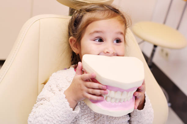 petite fille assise dans un fauteuil dentaire avec mâchoire artificielle dans les mains - hygiene dental hygiene human teeth child photos et images de collection