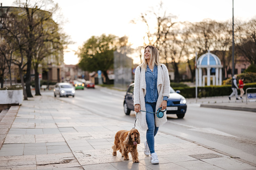 Beautiful young woman walking dog in the city