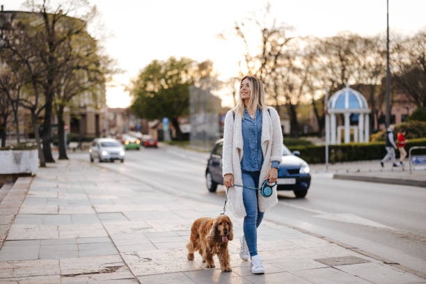 Friends enjoying relaxing walk in the city Beautiful young woman walking dog in the city dog walking stock pictures, royalty-free photos & images