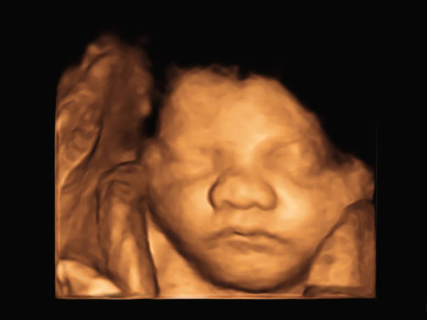 어머니의 자궁에 있는 아기의 화상 초음파 3d4d. - ultrasound human pregnancy ultrasound machine medical exam 뉴스 사진 이미지