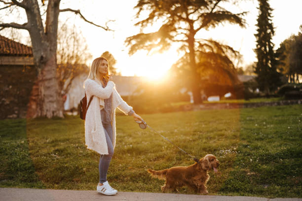 istock Friends enjoying relaxing walk at sunset 1370451640