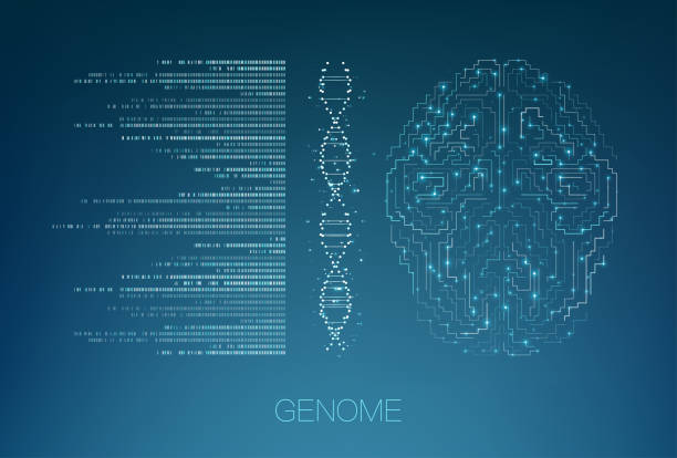 470+ Genomic Data Visualization Illustrations, Royalty-Free Vector ...