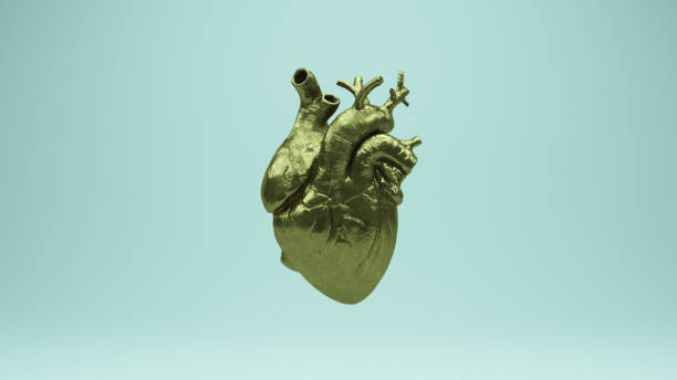 istock Gold Bronze Old Brass Heart Anatomy Anatomical Reflection 1370458663
