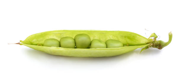 istock One pod of green peas. 1370461190