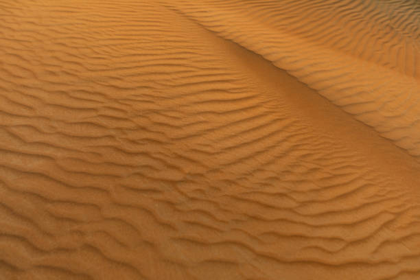istock Textured lines in the sand background 1370461193