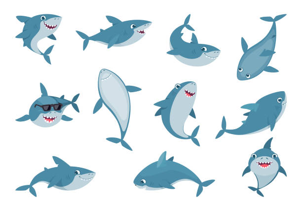 Ocean shark. Cute wild swimming smiling sharks with big white teeth exact vector cartoon illustrations set vector art illustration