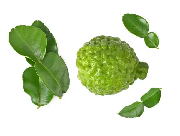 Bergamot or kaffir lime isolated on white background. Top view