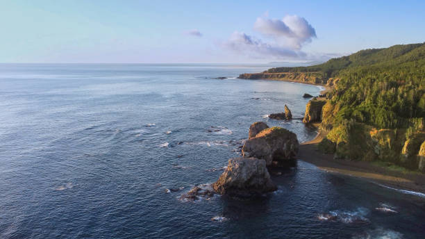 widok z lotu ptaka jasny świt ptak przylądkowy sachalin, rosja - nobody rock coastline sea zdjęcia i obrazy z banku zdjęć