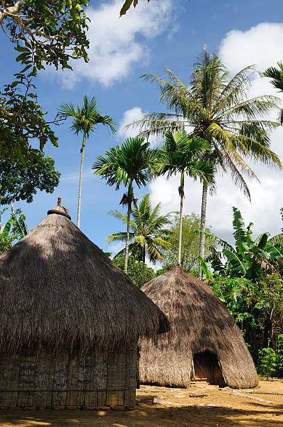 istock Indonesia, Timor, Head hunter village 137046508