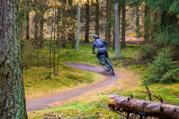 Mountain biker em movimento rápido na trilha da floresta - foto de acervo
