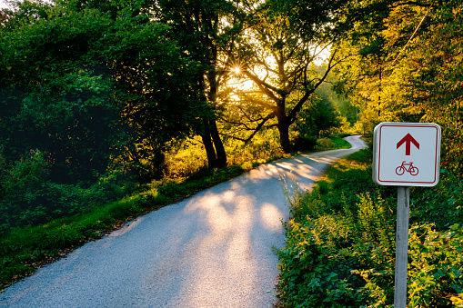 Atmospheric shot of a paved cycle path in the forest. The sun shines through the trees. It's late summer.