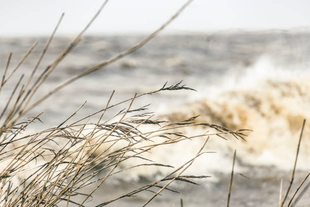 The precipitous shore of the sea in the steppe. Grass landscape near seascape close to sea edge. Beautiful sea landscape. Travel background.