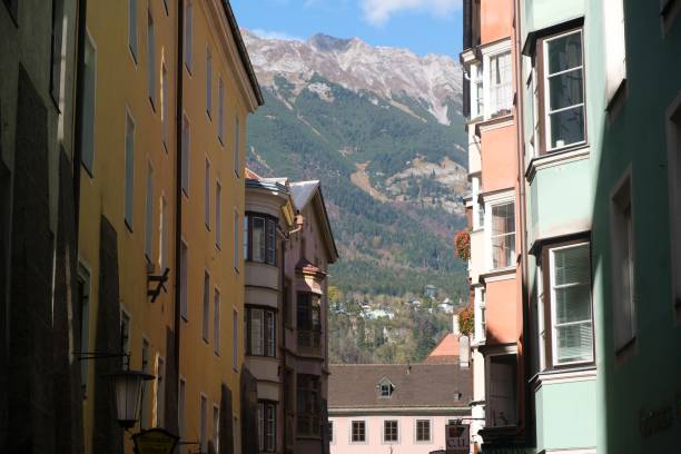 istock Alpenzoo Innsbruck Austria 1370471706
