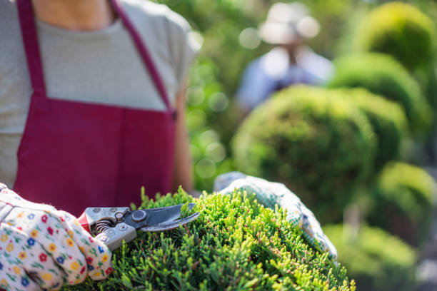 istock Everyday work in the green garden 1370471811