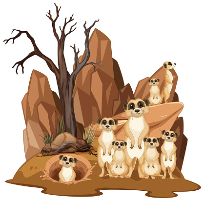 Isolated nature scene with meerkat family illustration