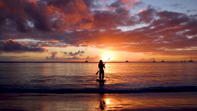 A woman with a stand up paddle board (SUP) walks into the sea during sunset