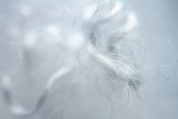 istock Extreme macro of polyester stable fiber 1370480524