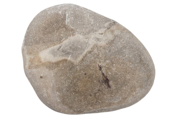 istock Top view of single gray pebble 1370480879