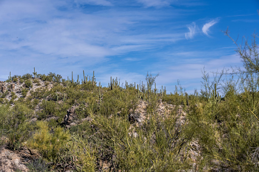 Epic mountain landscape scenery from the walking trail of Oro Valley area