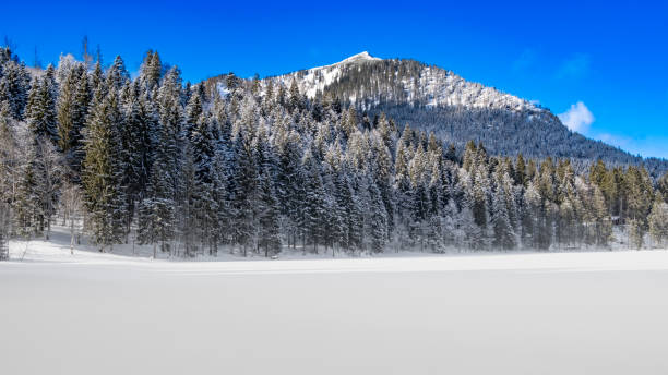 istock Winter landscape | Winterlandschaft 1370483054