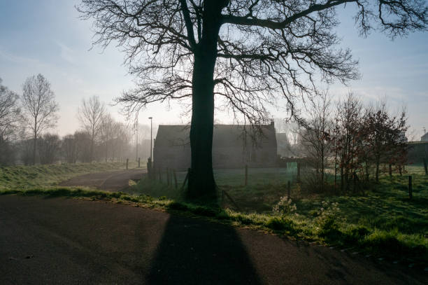A quiet early morning scene with a light mist covering a tree filled landscape in east flanders, Belgium.