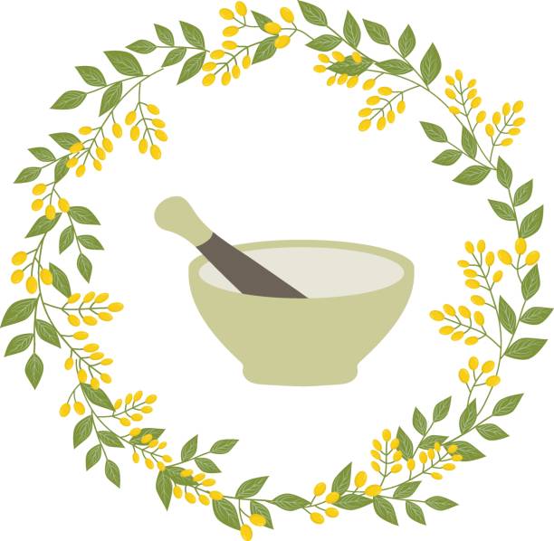 vektorabbildung von steinsterben und stößel in botanischem kräuterkranz mit gelben beeren. alternative medizin ayurveda - alternative medicine mortar and pestle herbal medicine herb stock-grafiken, -clipart, -cartoons und -symbole